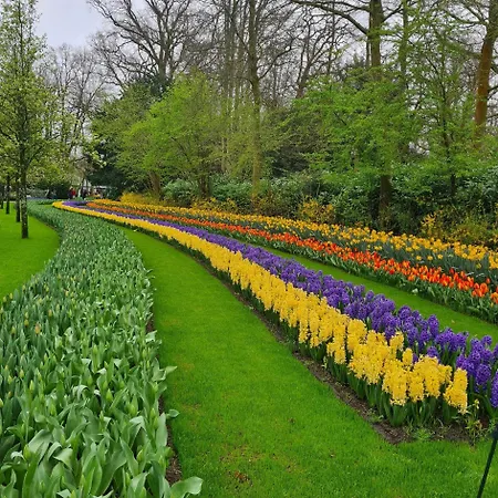 Horyzont Apartamento *