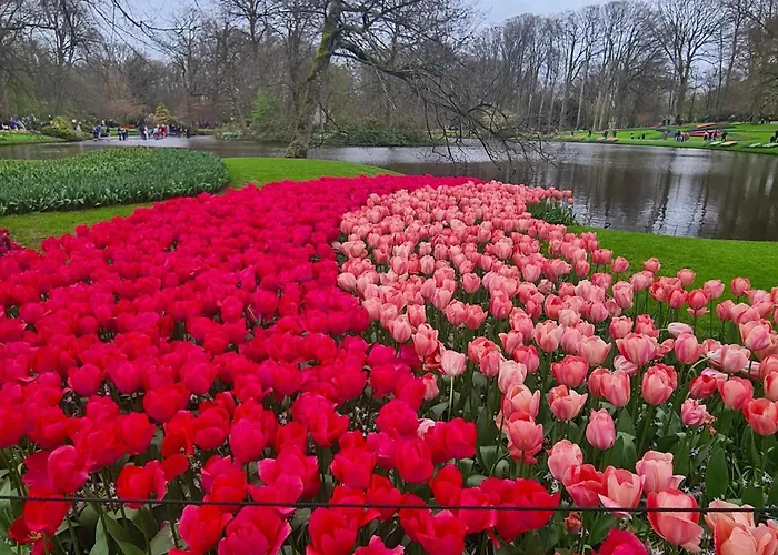 Horyzont Appartement Noordwijkerhout