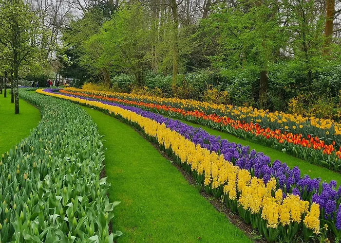 Horyzont Appartement *